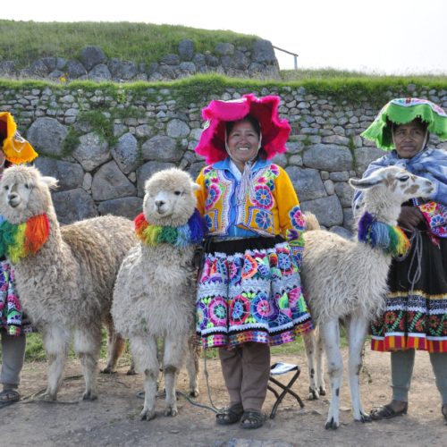 Knitting Tradition: The History of Alpaca Wool in Fashion